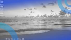 Image: Shutterstock / Built In